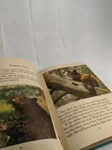 Vintage Walt Disney's Bear Country Hardcover Whitman Publishing - Picture 1 of 7