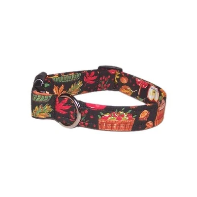 Wet Nose Designs 感恩节 Yummies 狗项圈黑色苹果秋季 2 — 第 1/4 张图片