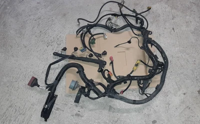 Faisceau moteur Bosch 9637436980 Peugeot 406 Phase 2 - 2.0 Hdi 110 CV - Immagine 1 di 4