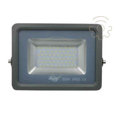 Driwei faro faretto a led 30W luce bianco freddo IP65 3000Lm 6000K grigio
