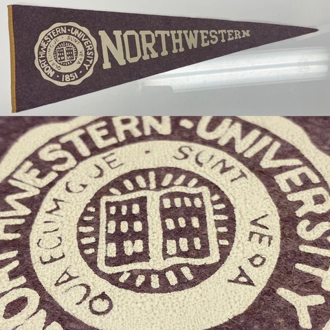 Vintage Northwestern Wildcats Evanston  Big 10 University Mini Pennant 5x14 Cover