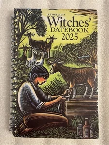 Llewellyn's 2026 Witches' Datebook - Picture 1 of 2