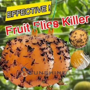 2PCS Sticky Trap Fruit Fly Bees Gnat Trap Sticky Glue Bug Traps Fungus Traps - Picture 1 of 15