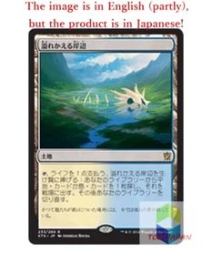 Magic The Gathering MTG JP Flooded Strand Rare Japan - Picture 1 of 2