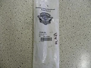 Harley Davidson 17640-01K Secondary Chain Tensioner Guide (3A12) - Bild 1 von 2