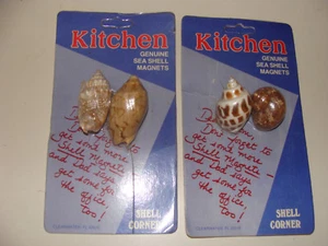 Kitchen Magnets Genuine Sea Shell 2 packs of 2  - Picture 1 of 1