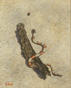 Serpiente y Ladybug impresión original en papel - regalo para niños - obra de arte de reptiles - giclee - Imagen 1 de 3