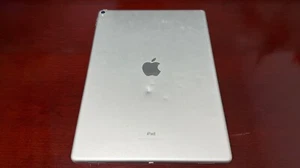 Apple iPad Pro 12.9-inch (2nd Gen) - 64GB - Silver (WiFi) - Screen Halo - Picture 1 of 10