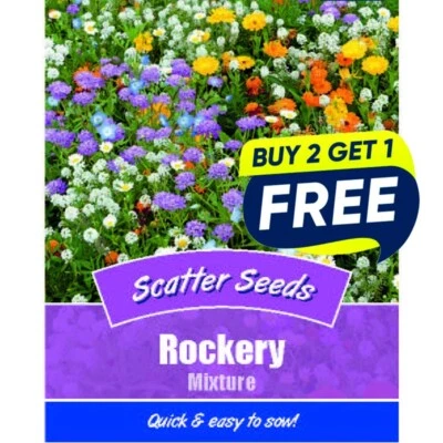 Flower Seeds Rockery Mixture Scatter - 1000 Seeds Garden Plant Seed Borders - Image 1 of 4