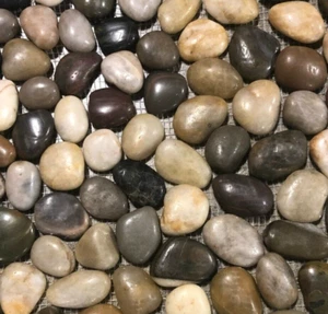 12x12 Tile Mixed Colors Pebble Shower Remodel Stone (10 Square Feet) T-14 - Picture 1 of 4