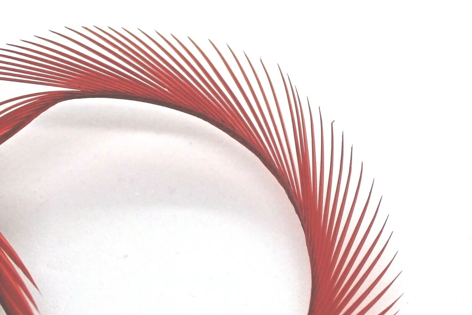 GOOSE BIOTS - CARRETE ROJO Foto 1 de 1