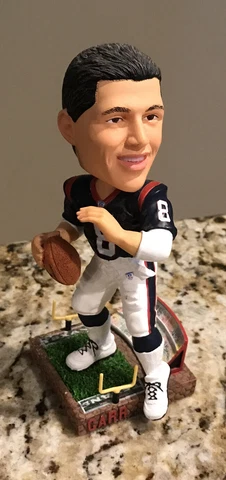 David Carr Houston Texans Forever Legends of Field Bobblehead Doll No Box Cover