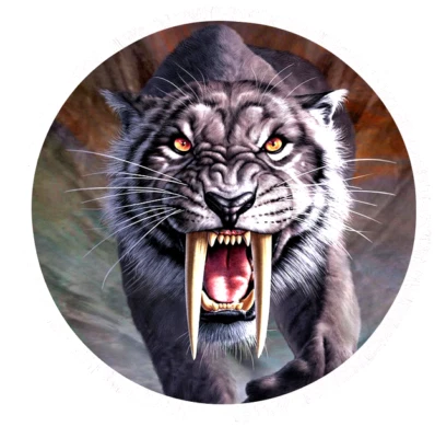 COLMILLO DE TIGRE SALVAJE DIENTES ANIMAL Colgante Dije En Plata de Ley 925 20" Collar Foto 1 de 4