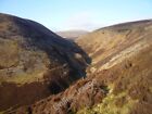 Photo 6X4 Cample Cleugh From Cairns Hill Morton Mains Steep Sided Stream  C2011