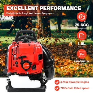 Mochila soplador de hojas motor gasolina 75.6CC Pro mochila de jardín Easy Start Blow - Imagen 1 de 14