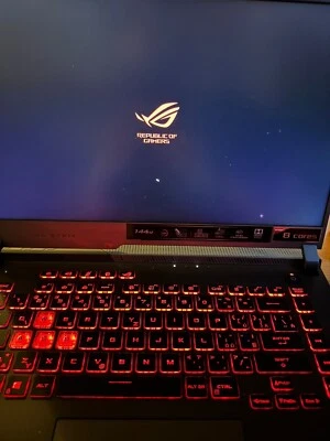 Asus ROG Strix G15 (G513IM) - RTX 3060, Ryzen 7 4800H (UPGRADED, See DESC) - Bild 1 von 4