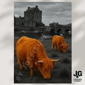 Highland Cow Picture Wall Art Poster Print Scotland A5 A4 A3 A2 A1 - Picture 1 of 3