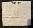 Beat Root Solo Acoustic Piezo Kick Stomp Box