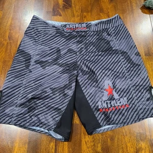 Anthem Leichtathletik Shorts Resilence Fight MMA Boxen grau schwarz Herren Größe 34 - Bild 1 von 10