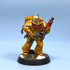CAPTAIN LIEUTENANT CONVERTED IMPERIAL FISTS SPACE MARINES ASTARTES PAINTED 40K