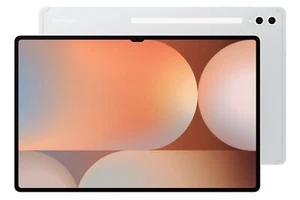 Samsung Galaxy Tab S10 Ultra 256GB Wi-Fi EU silver - Bild 1 von 9