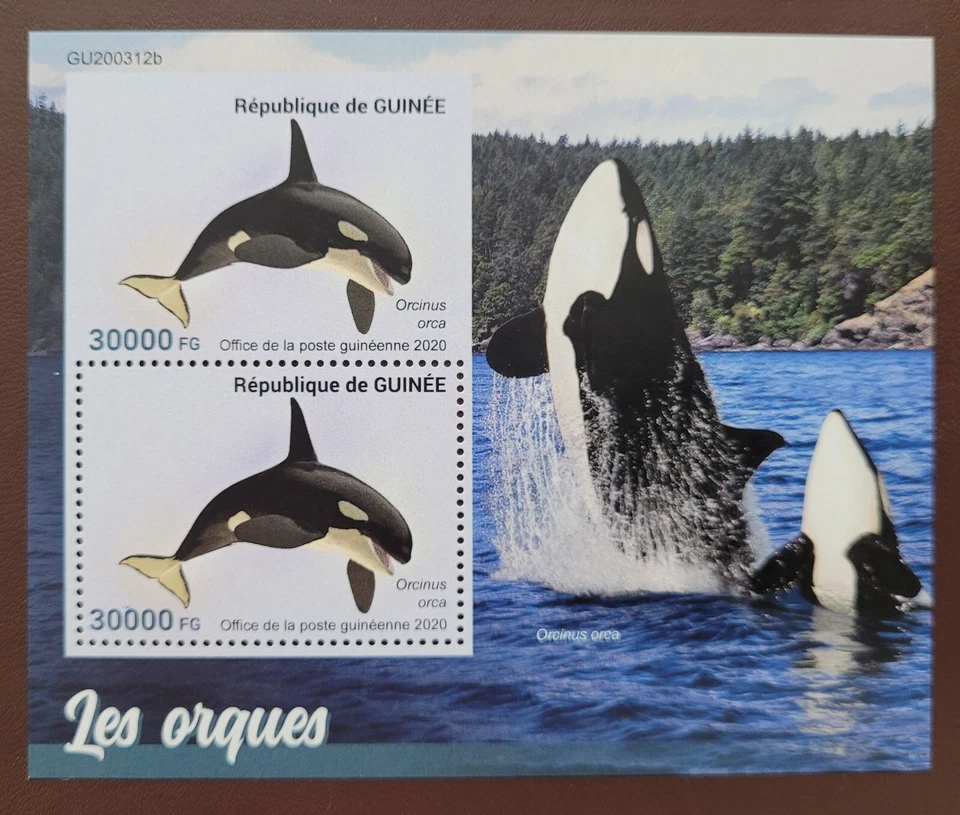 Гвинея 2020 / Морская жизнь - косатки / 1 В ms - Изображение 1 из 1