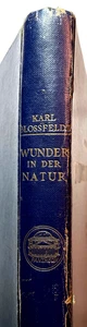 Karl Blossfeldt~WUNDER IN DER NATUR~1942 Botanische Tiefdruckplatten Fotografie - Bild 1 von 16
