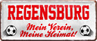 ''Regensburg Mein Verein, meine Heimat'' 28x12cm Blechschild