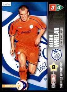 Panini Coca-Cola Championship (2008) Card - Glenn Whelan Sheffield Wed. #222