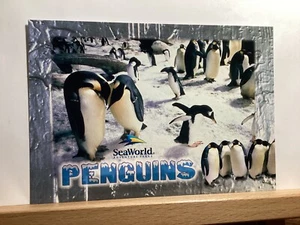 Pinguin-Begegnung in Seaworld: Orlando, FL - Vintage Postkarte - Bild 1 von 3