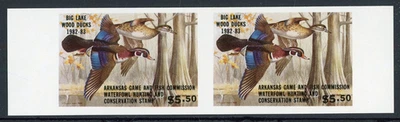 ARKANSAS 1982-83 WATERFOWL HUNTING & CONSERVATION STAMP IMPERF MINT PAIR ! B95 - Image 1 of 2
