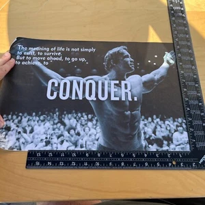Arnold Schwarzenegger Canvas, motivational wall art, modern,gym. Aprox 12” X 18” - Picture 1 of 2
