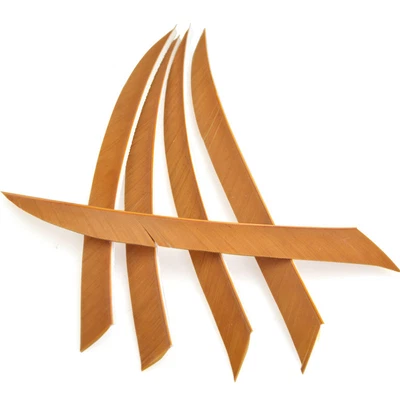 50X 5" Archery Feathers Arrow Natural Fletches Turkey Fletching Right Wing DIY - Image 1 of 4