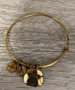 Brazalete Brazalete Ajustable Alex & Ani Energy Dólar Arena Tono Dorado - Imagen 1 de 2