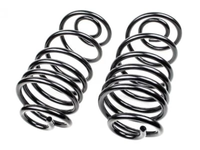 Juego de muelles helicoidales traseros para Buick Regal 1978-1987 46177JFJZ 1979 1980 1981 1982 Foto 1 de 2