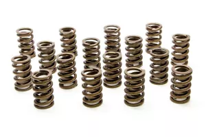 PAC RACING 1.260 Single Valve Springs w/Damper (16) 1200 Series Circle Track - Imagen 1 de 1