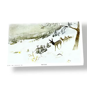 Postcard Solitude Deer Snow Charles M Russell Cowboy Artist c1952 D119 - Picture 1 of 2