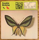 Paradise Birdwing, 1977 Editions Recontre 4 3/4" X 4 3/4" Card