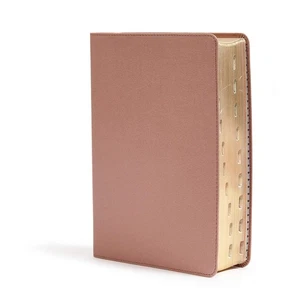 SHE READS TRUTH Bible (CSB) - Rose Gold, Indexed Tabs, Journaling, Full-Color - Picture 1 of 11