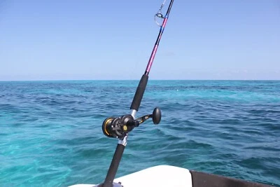 Ebb Fishing - Caña de fundición en alta mar Foto 1 de 3