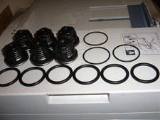 KIT VALVOLE POMPE IRRIGAZIONE IRRORAZIONE  ANNOVI REVERBERI ORIGINALI 1920