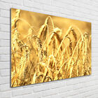 Wandbild aus Plexiglas® Druck auf Acryl 100x70 Blumen & Pflanzen Getreide