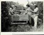 1984 Press Photo Richie Brothers workers pick and load apples into a wagon