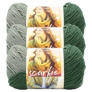 (3 Pack) Lion Brand Yarn 826-241F Scarfie Yarn, Evergreen/Pearl Grey - Picture 1 of 7