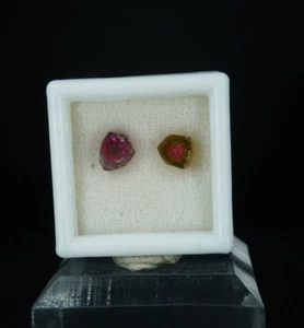 Wassermelone Turmalin in Edelsteinbox / Santa Rosa Mine, Brasilien / Edelstein Mineral Cr - Bild 1 von 2