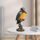 Sharp Mouth Bird Ornament Parrot Figurine For Outdoor Living Room Indoor