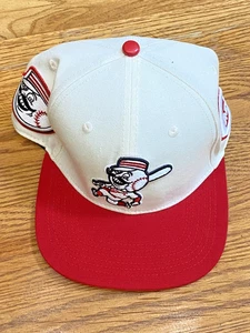 Cincinnati Reds Pro Standard Team Logo Snapback Embodied Hat Rare - Bild 1 von 9