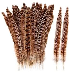 24pcs Female Ringneck Pheasant Tails Feathers Natural Feathers 8-10inch 20-25... - Picture 1 of 8