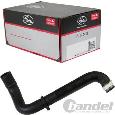 GATES Manguera Agua Fría Superior Inferior Apto Para Citroën Jumpy Fiat Scudo - Imagen 1 de 2