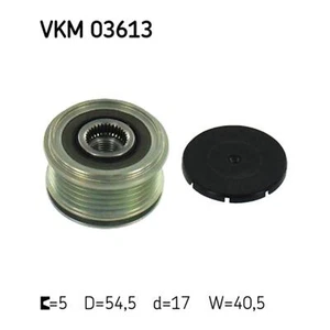 Alternator Freewheel Clutch Pulley SKF for Kangoo Kubistar Thalia Clio Logan VKM - Picture 1 of 6